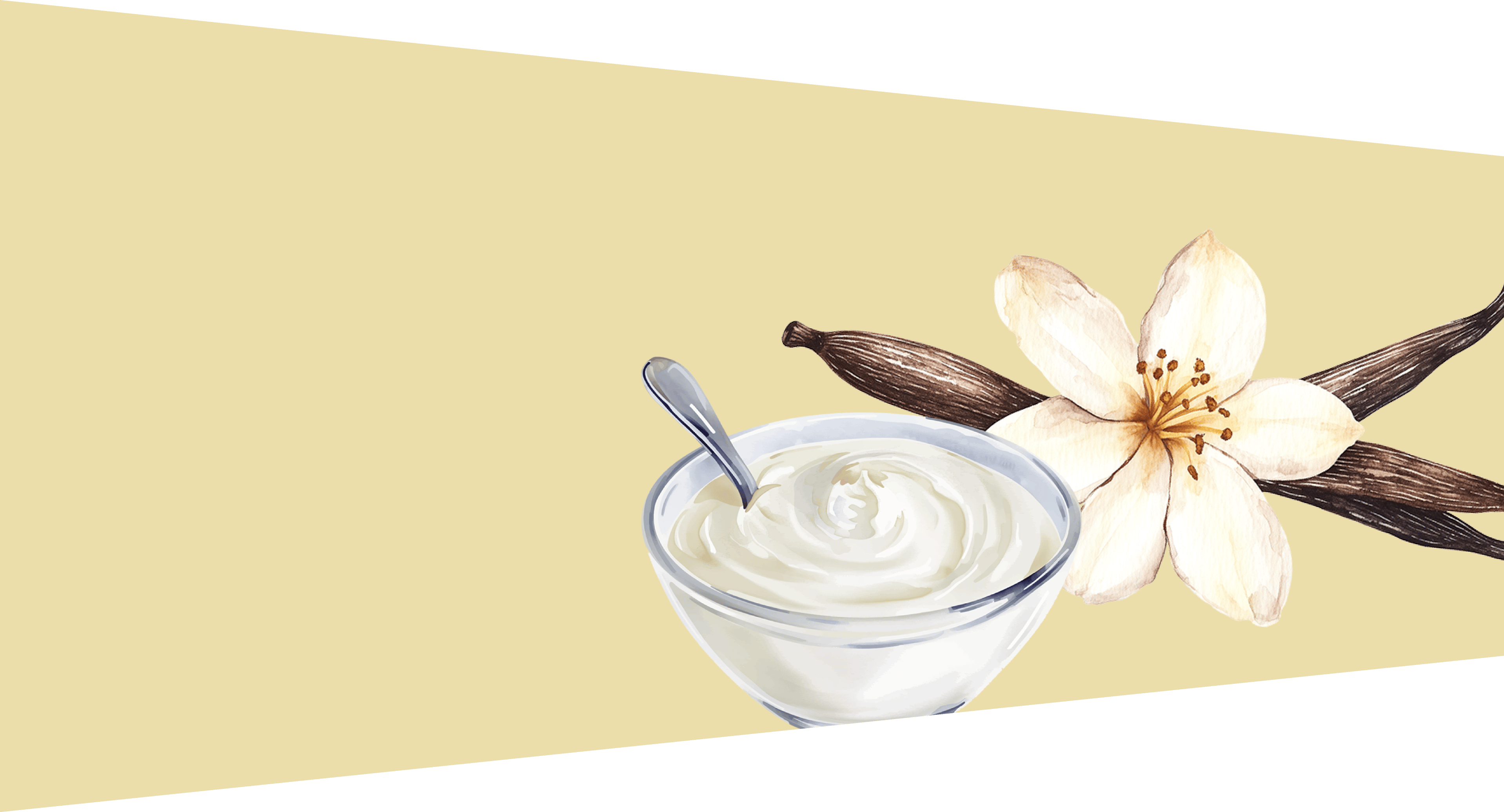 VANILLAYOGURTFLAVOR バニラヨーグルトフレーバー